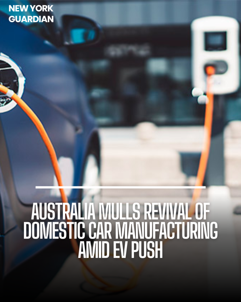 The Australian automotive market has changed dramatically in recent years, with several brands from China, Vietnam, and elsewhere dominating the marketplace.