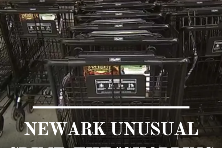 Two males in Newark have been detained for an odd crime spree that has authorities perplexed.