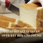 One of Japan's most renowned bread brands is recalling thousands of packages and offering rebates after the remains of a rat was found in its products.